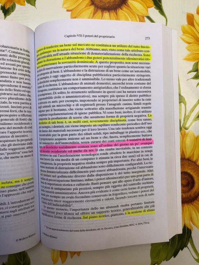 Trattato di diritto civile, I diritti reali 2