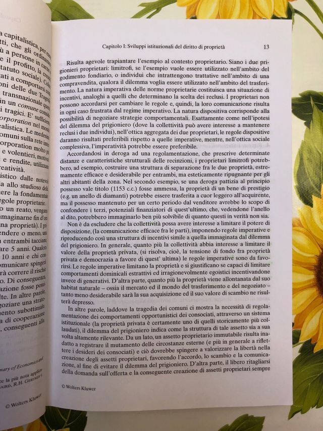 Trattato di diritto civile, I diritti reali 2