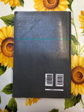 Trattato di diritto civile, I diritti reali 2