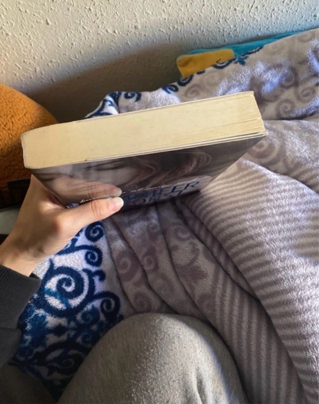 Libro Buscando el amor perfecto