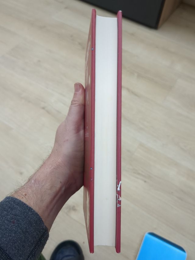 La increíble historia de... El chico del vestido