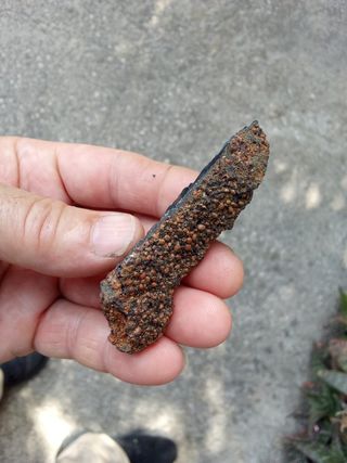 Minerali da collezione