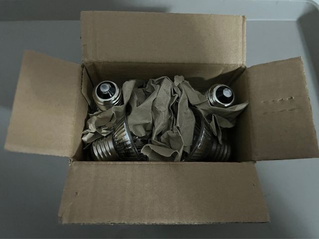 focos de reptiles UVA....