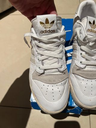 Scarpa Adidas 