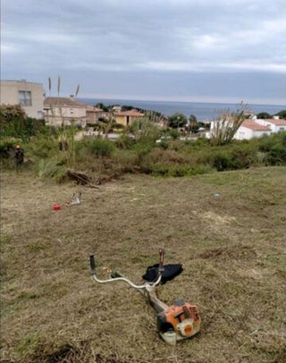 Jardinero económico 