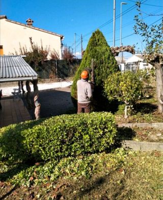 Jardinero económico 