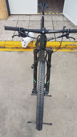 ORBEA ALMA M30 EAGLE CARBONO 2019 Talla M