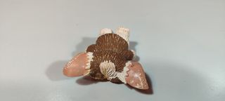 Figura Gizmo de la película Gremlins