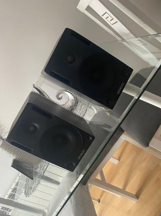 OFERTON !!!Genelec 1029a