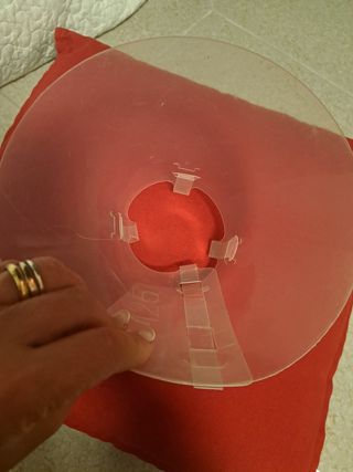 Collare elisabettiano   regolabile