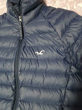 Chaqueta Hollister chico