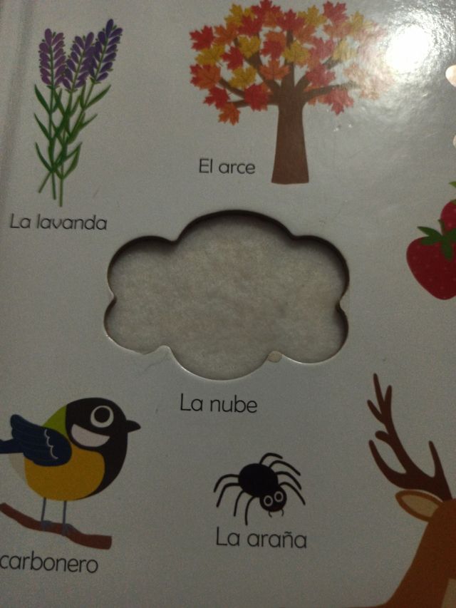 La naturaleza descubrir y tocar