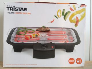 Piastra elettrica per Barbecue 