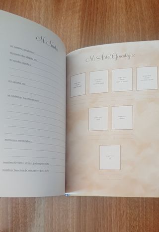 MIS PRIMEROS CINCO AÑOS.DIARIO DEL BEBE: EDICION 2010 (INCLUYE METRO) (Spanish Edition)