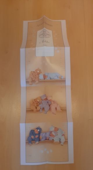 MIS PRIMEROS CINCO AÑOS.DIARIO DEL BEBE: EDICION 2010 (INCLUYE METRO) (Spanish Edition)