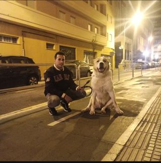 Cuidador de perros. (alojamiento y paseos)