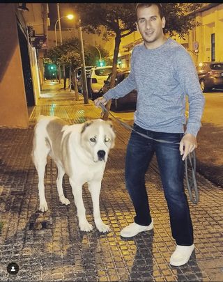 Cuidador de perros. (alojamiento y paseos)