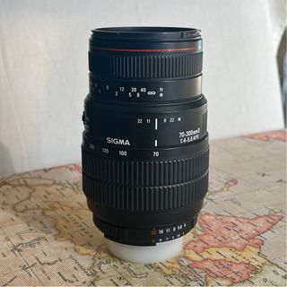 Sigma 70 300 f/4 Macro Nikon