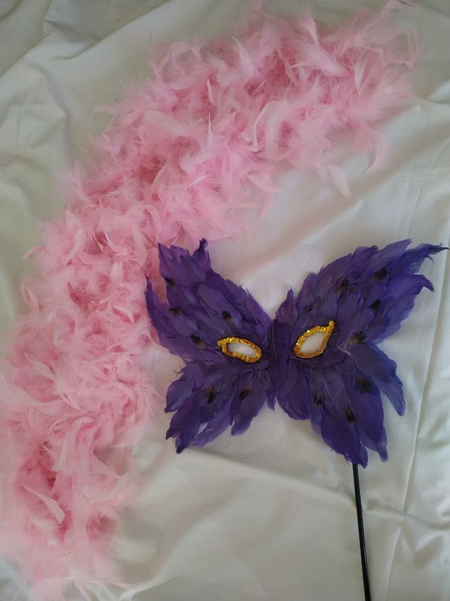 Piume e maschera di carnevale