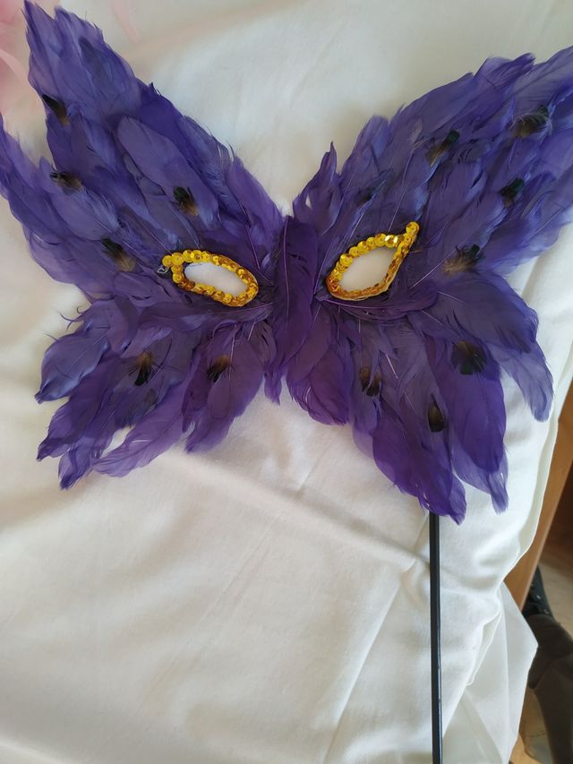 Piume e maschera di carnevale