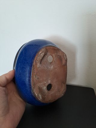 Maceta ovalada bonsai