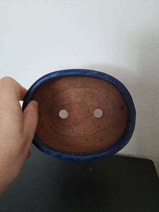 Maceta ovalada bonsai