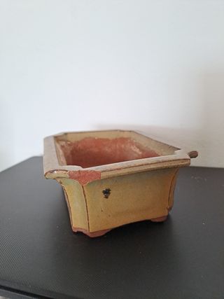 Maceta para bonsai