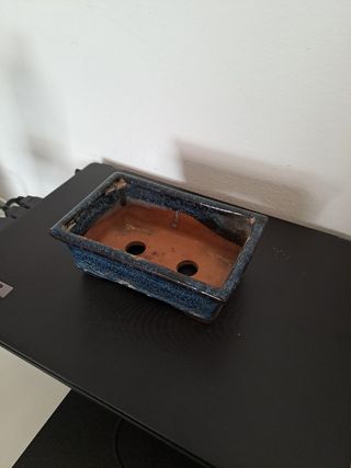 Maceta para bonsai