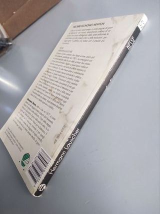 Hermann Hesse - Hermann Lauscher. Newton 1992