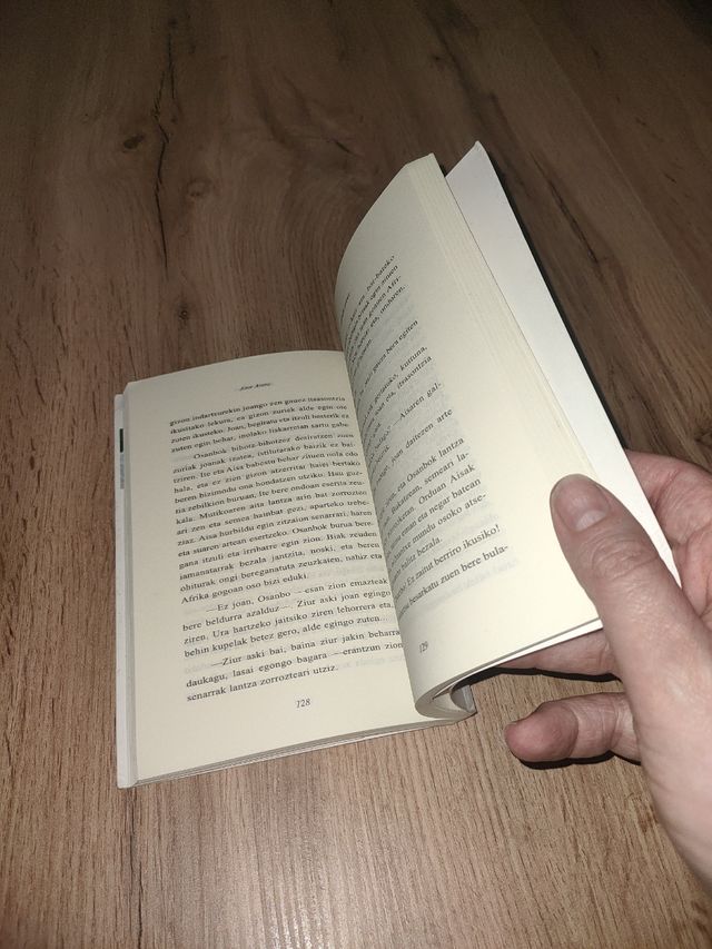 Afrikako semea (EKIN) (Basque Edition)