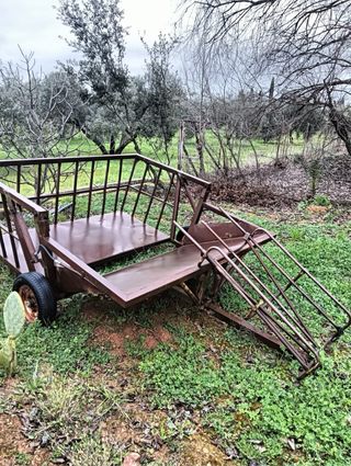 Empacadora batlle 270