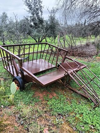 Empacadora batlle 270