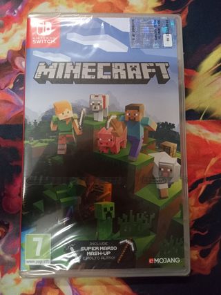 Minecraft Nintendo Switch