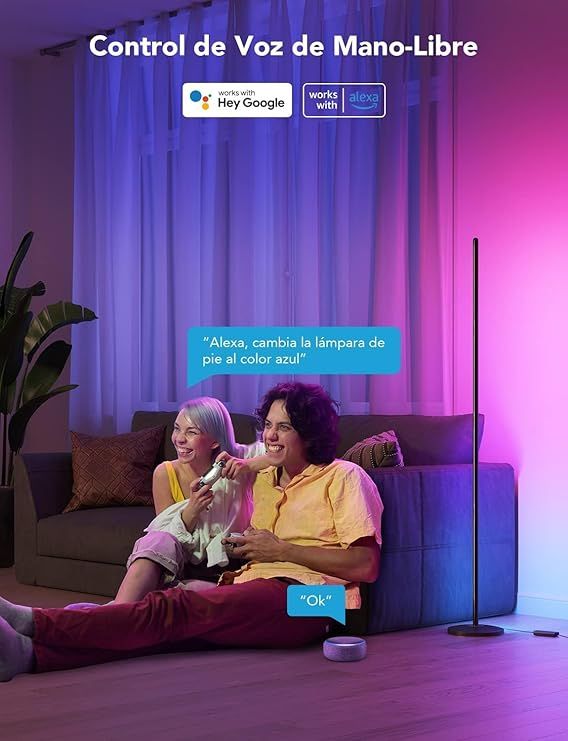 Govee Lámpara de Pie RGBIC H6076