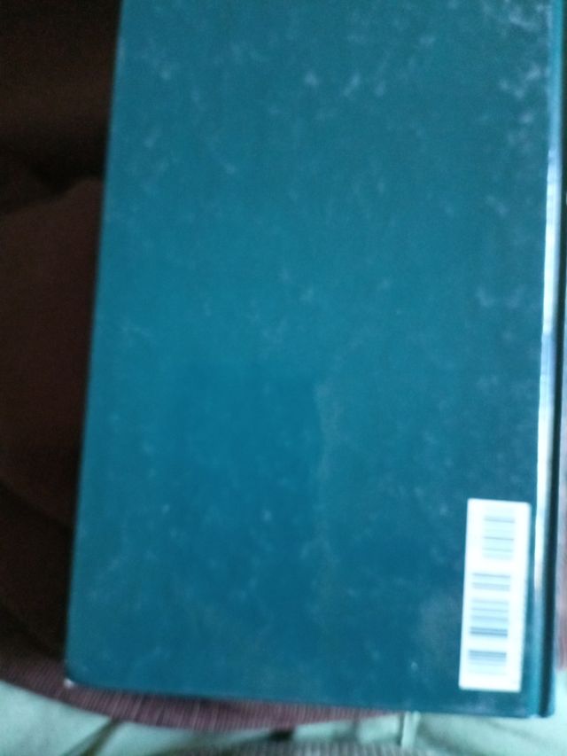 El invierno en Lisboa