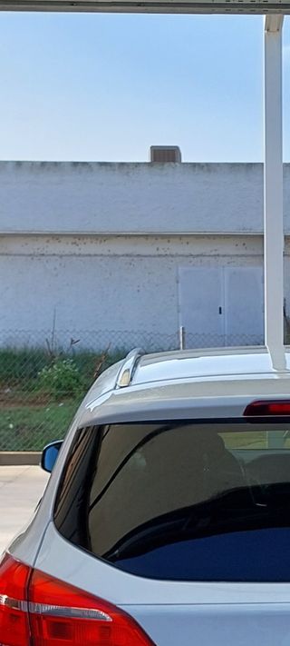 Vacas del coche