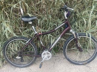 Bicicleta Specialized Expedition 