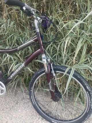 Bicicleta Specialized Expedition 