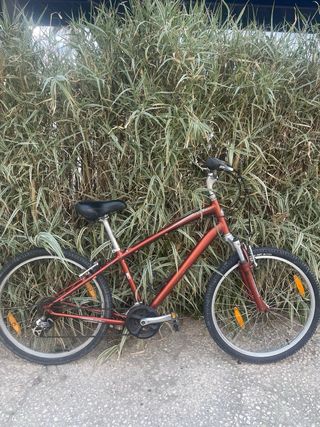 Bicicleta Globe Carmel  specialized 