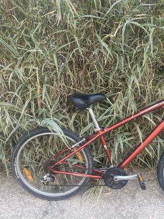Bicicleta Globe Carmel  specialized 