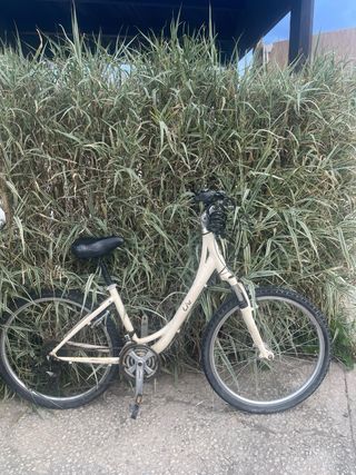 Bicicleta Giant Liv