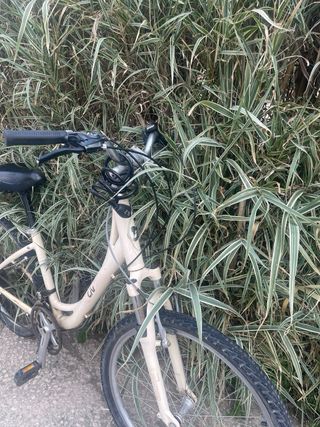 Bicicleta Giant Liv