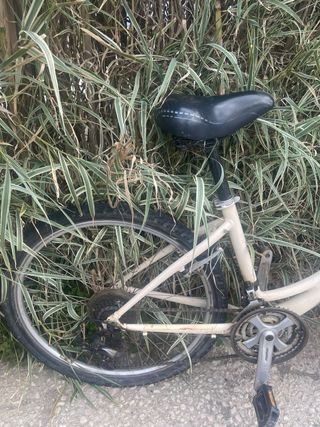 Bicicleta Giant Liv