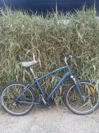 Bicicleta  Globe  specializ 