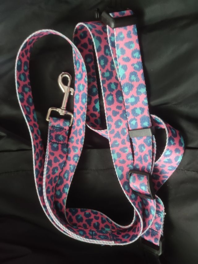 Correa leopardo Perro