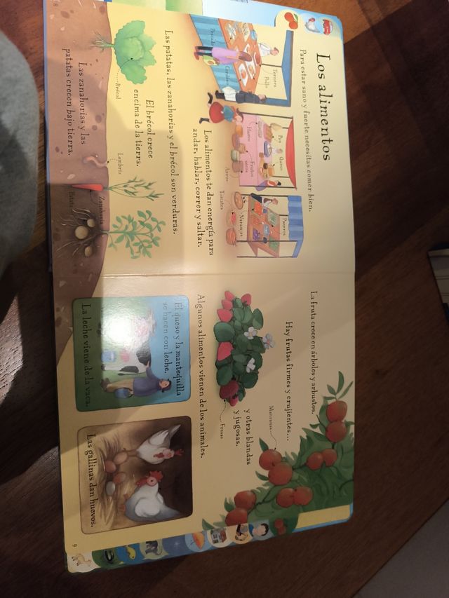 MI PRIMERA ENCICLOPEDIA ILUSTRADA (Spanish Edition)