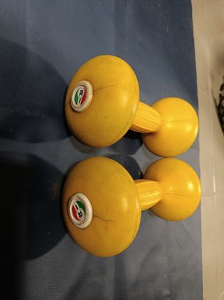 Manubri per palestra 