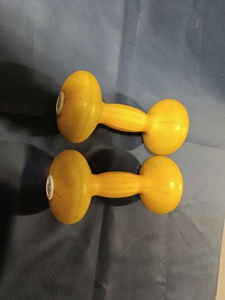 Manubri per palestra 