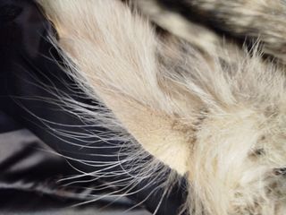 Chaqueta vintage cuero talla L