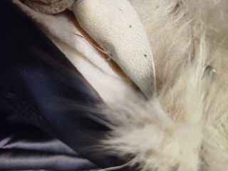 Chaqueta vintage cuero talla L